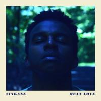 Виниловая пластинка SINKANE / MEAN LOVE (1LP)
